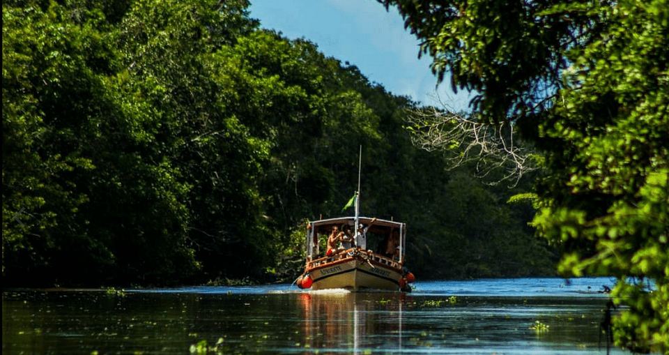 Passeio de Barco pelo Rio Buranhém